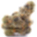 Apple Fritter - Yana Wellness