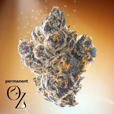 If Dorothy thought skipping down the yellow brick road was an adventure, wait till she tries this Permanent Oz from Fluent Dispensary in St. Pete, Florida. These dense, trichome-drenched deep green and purple buds hit like a twister of indica swagger, promising a ride that's equal parts street-smart and sophisticated, complete with a brainy buzz that even the Scarecrow would envy. It's got that "built to last" vibe right from the unpack, ready to tag your day with some serious, no-fading...
