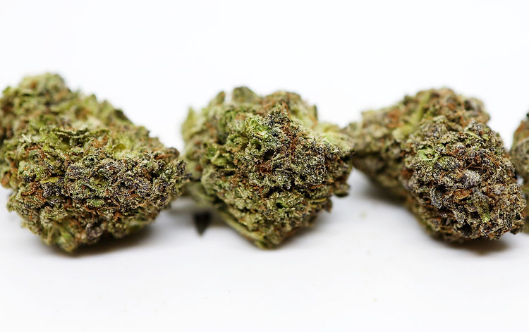 Purple Afghani