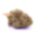 Dragon's Breath - gLeaf, Short Pump (VA Medical)
