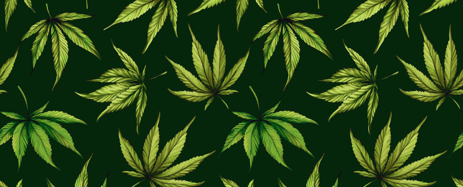 Far & Dotter in Baltimore offers a modern apothecary with craft cannabis creations.