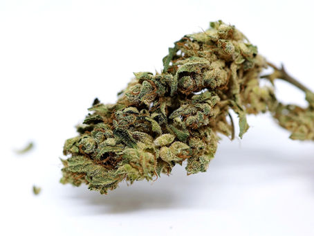 Snow 1 - District Hemp Botanicals (VA Recreational)