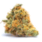 takoma-wellness-center-dc-dispensary-review-berry-cinex-strain-by-alt-sol-bud-1