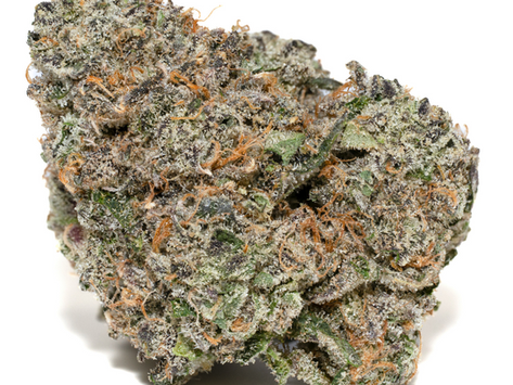 Cinnamon Milk - Cookies, Tampa (FL Medical)