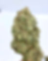 Lemon Skunk - Herbal Alternatives
