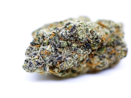 Bubblegum Sorbet - Flower Ave