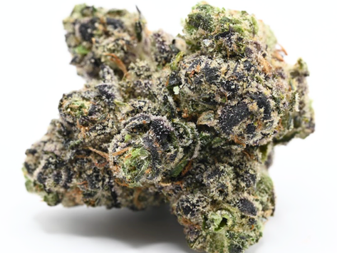 HashBurger by MPX Select - GrowHealthy, Jacksonville (Florida Medical)