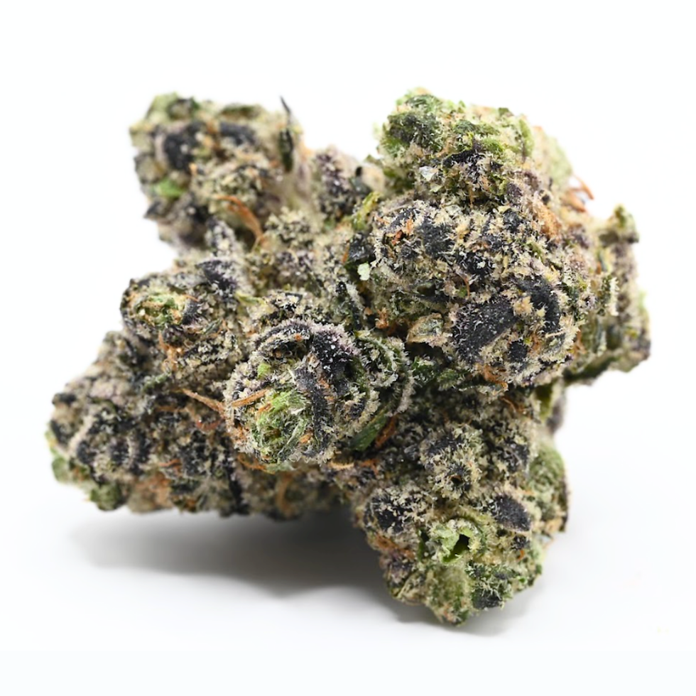mpx-select-hashburger-growhealthy-dispensary-jacksonville-1