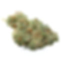 The Vault Super Boof - GrowHealthy, Tampa (Florida Medical)