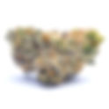 Candy Gas - Capital Remedy DC