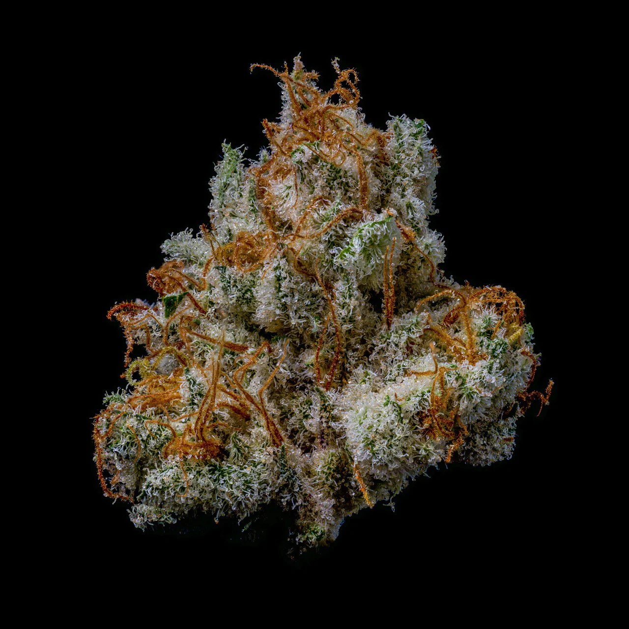 Ice Cream Cake THCA Flower