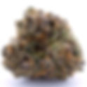 Blue Zlurpie - Top Level DC