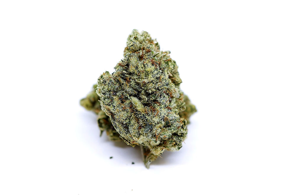 masc-dc-weed-review-terp-lords-georgetown-pressure-front-view-2