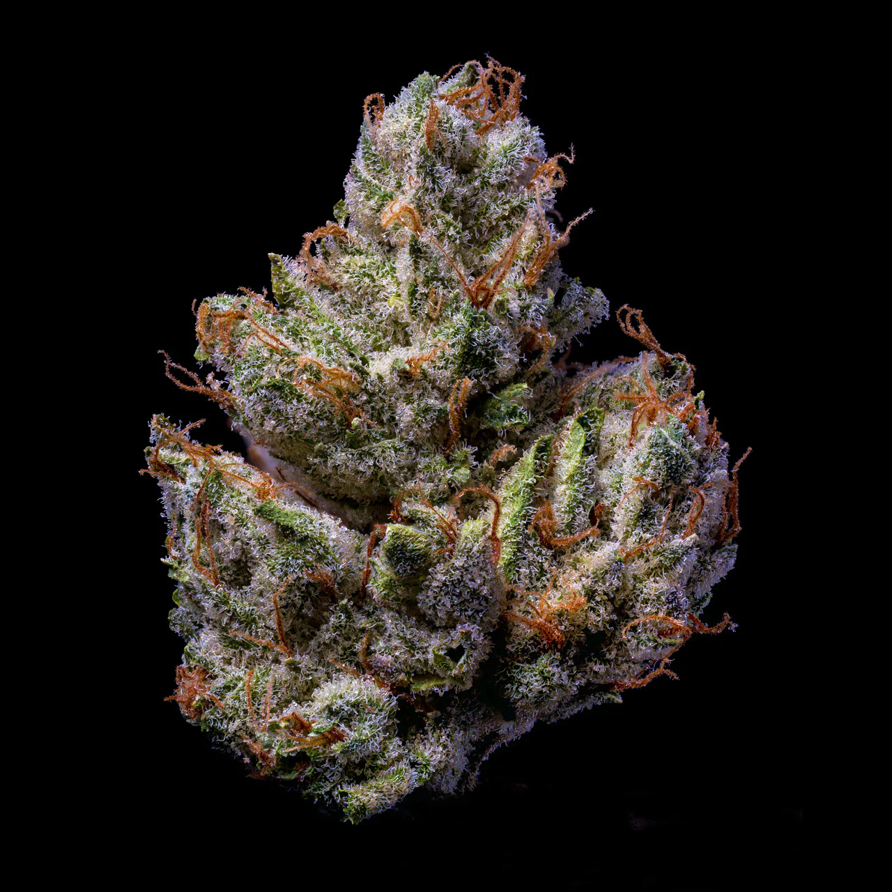 Zkittlez THCA Flower