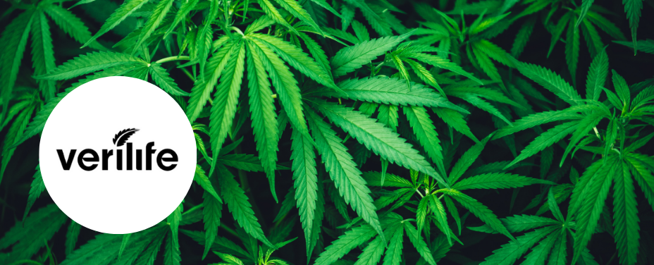 Verilife New Market delivers a trusted cannabis hub with chain-backed quality in Frederick County.