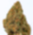 Cherry Voltage - Euphoria DC