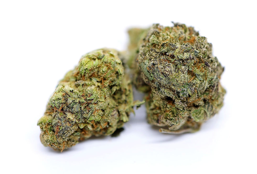 athenas-gifts-dc-weed-review-sugar-momma-side-view-2