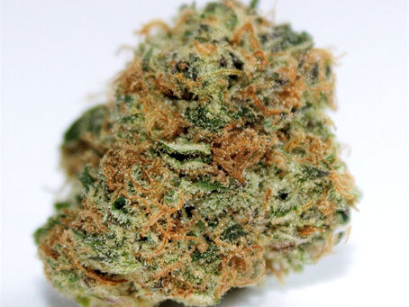 Bio Chem by Culta - Blue Ridge Wellness, Parkville (MD Medical)