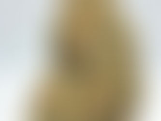 Bahama Mama, Gelatti X & Vanilla Frosting - Elevated Lounge DC