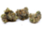 the-garden-dc-weed-review-tropical-runtz-front-view-2