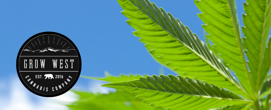 Grow West in Cumberland blends rustic charm with potent local strains in Western Maryland.