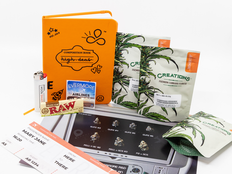 Take Flight with Evermore R&D Flights - The Living Room (Maryland Recreational)