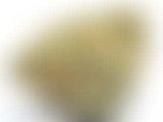 Torrone #2 by Savvy - gLeaf (Rockville, Maryland)