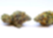 Orange Cookies - Exotic Organics