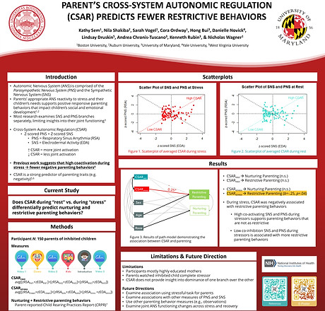 P2-43_Sem_POSTER_final.jpg