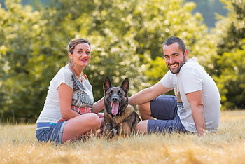 Portraits chiens et chevaux