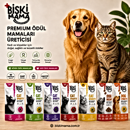 El yapımı ve katkısız ödül maması