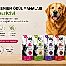 Köpek ödül maması seçimi