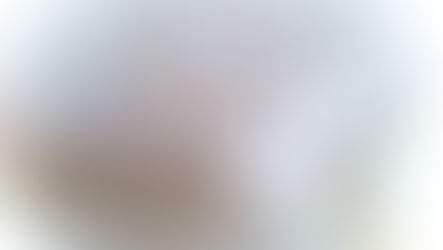 l'embrasement  l'aurore bag