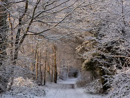 January Blues: Why This Time of Year Can Feel So Heavy