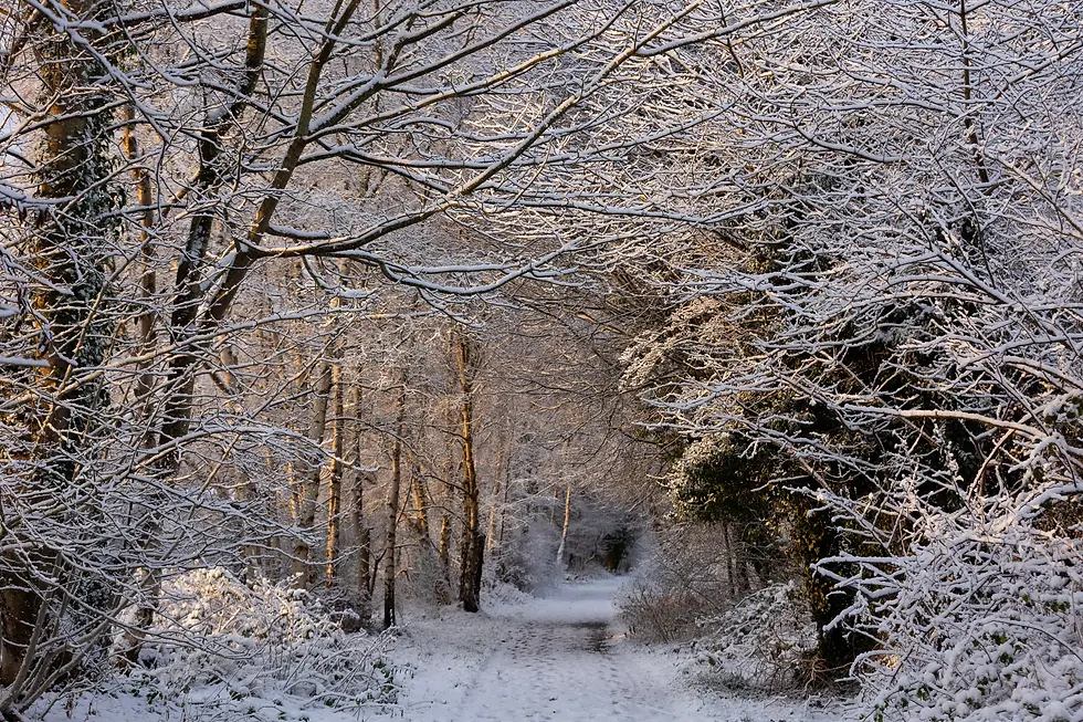 January Blues: Why This Time of Year Can Feel So Heavy
