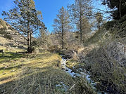 IMG_3155.jpeg