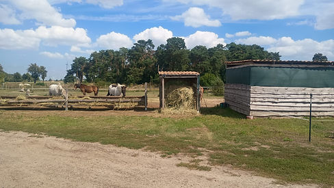 IMG-20260826-WA0026(1).jpg