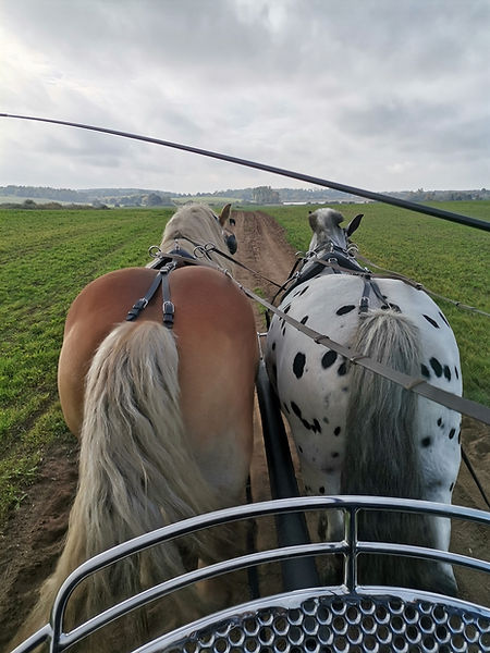 Schnupperkurs Fahren