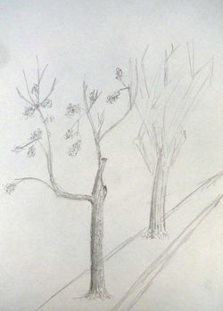 Título: "Estudo de Árvores III"