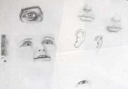 Título: "Estudo de elementos do Rosto"