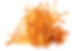 Cordyceps triple extraction mushroom tincture