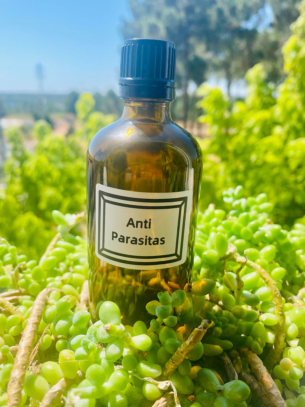 Anti-Parasites