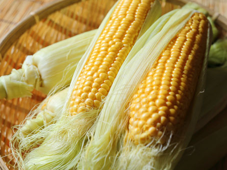 夏バテ防止に栄養豊富な穀物をまるっといただく