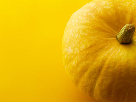 夏の太陽をしっかり蓄えた冷え取りの美味しい野菜
