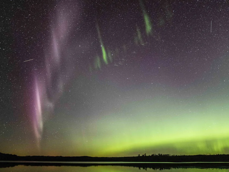 Steve: Conheça o fenômeno de luzes que pode ser confundido com auroras