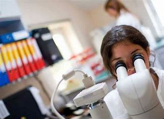 10 maiores cursos tecnólogos do Brasil