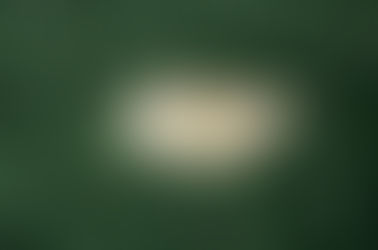 Terra Yanomami instala internet de empresa de Elon Musk que ajudará serviços de saúde