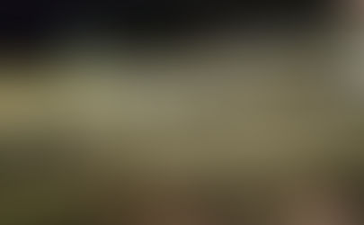 Avião que traz Bolsonaro ao Brasil tem pintura de Harry Potter