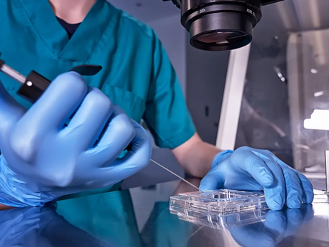 Fertilização in Vitro: o que é e quando é recomendada?