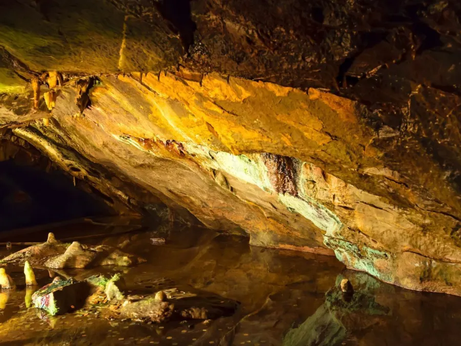 Estudo sugere que grupo de humanos pré-históricos praticava canibalismo